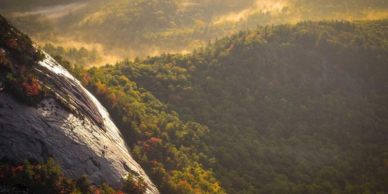 企业如何通过行业信息进阶构建智能服务平台：数据驱动决策的新范式