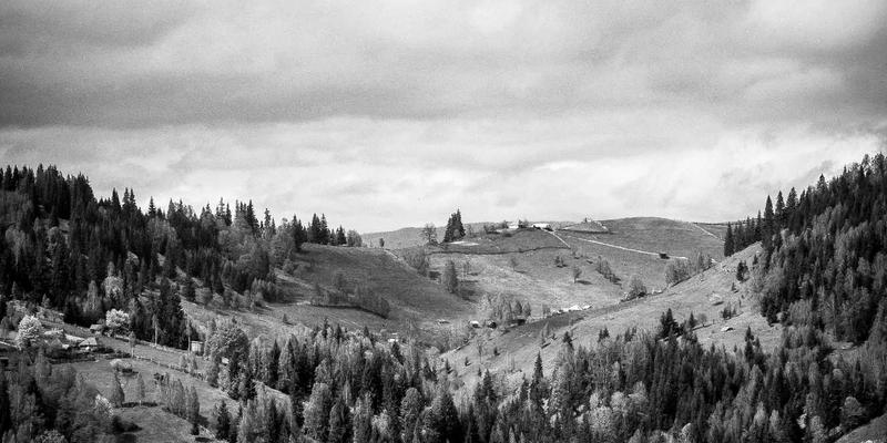 企业服务与管理工具如何通过跨行业信息整合发现新兴市场机会