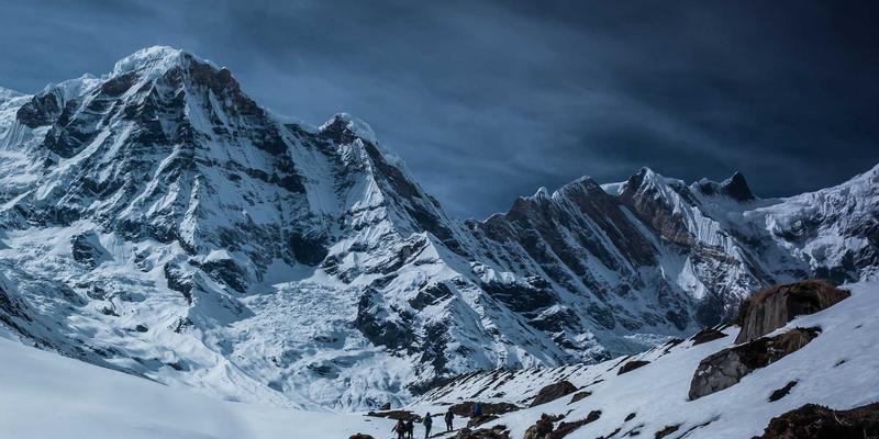 企业管理变革新引擎：数字化服务平台如何重塑企业服务生态