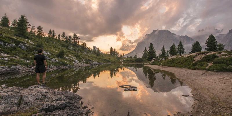 企业管理数字化转型:如何选择与整合高效管理工具与服务平台