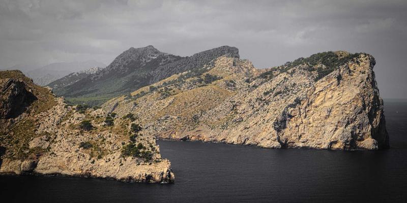 企业管理新引擎：如何运用商业资讯服务平台赋能产品生命周期全程市场适配