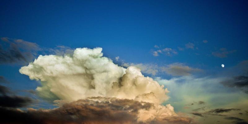 商业资讯与市场分析：驱动政策制定与公共管理的隐形引擎