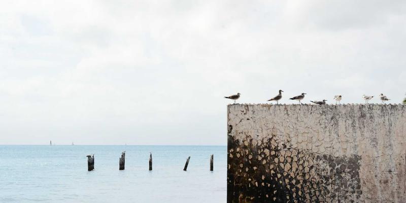 商业资讯服务平台如何助力企业管理：解读政府行业白皮书的关键信息提取指南