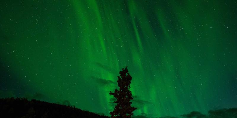 商业资讯服务平台：行业信息赋能企业决策的三大核心价值