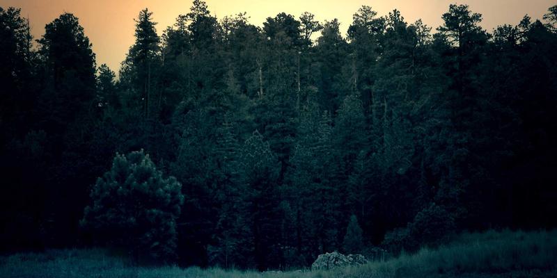 商业资讯赋能企业管理：2024年必备管理工具全景解析