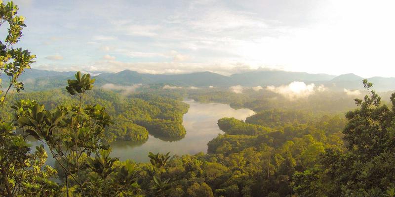 大数据如何重塑行业信息洞察：三个企业服务与管理的实战案例