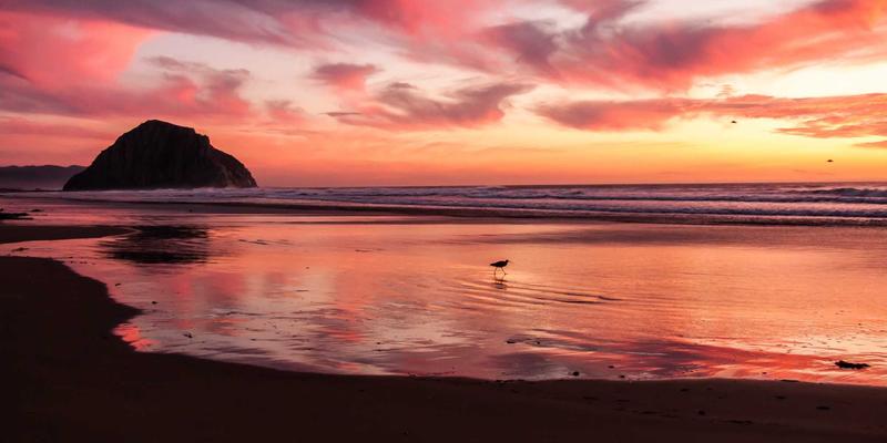 市场分析与商业资讯驱动：如何利用行业信息构建精准B2B客户画像与细分策略