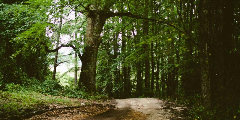 洞见未来：企业如何利用商业资讯服务平台预测技术变革并提前布局