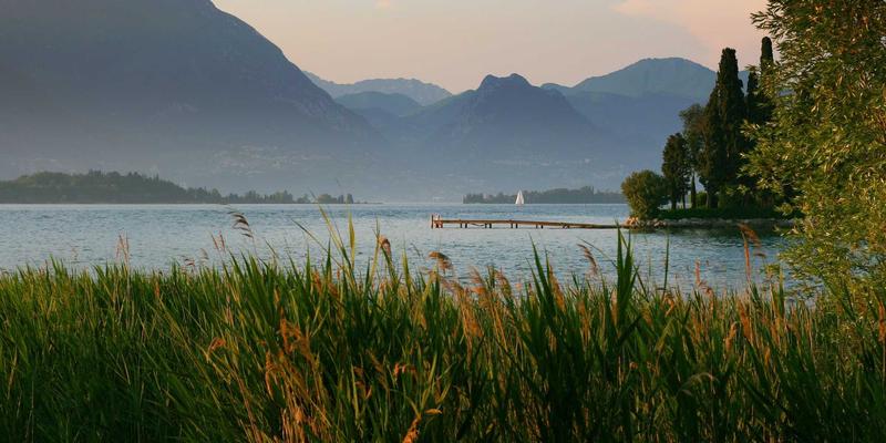 行业信息54：商业资讯、管理工具与企业服务的数字化转型融合