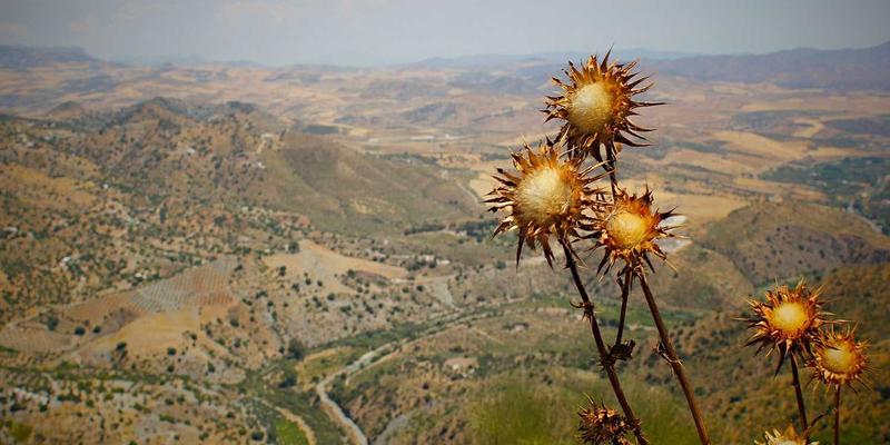 行业信息73：市场分析、管理工具与服务平台的三维赋能