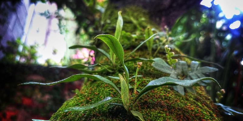 行业信息76：市场分析与管理工具如何重塑现代企业服务新格局