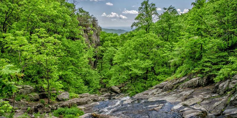 行业信息与商业资讯如何赋能企业管理：基于分析报告的市场决策指南