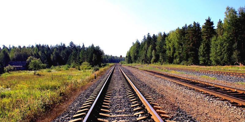 行业信息如何辅助企业研发投入决策：识别高潜力技术方向与避免投资陷阱