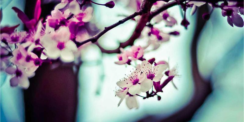 行业信息获取渠道与方法全解析：善用管理工具，决胜市场分析