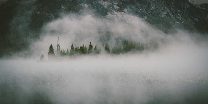 行业信息赋能企业管理：基于市场分析的数字化转型策略