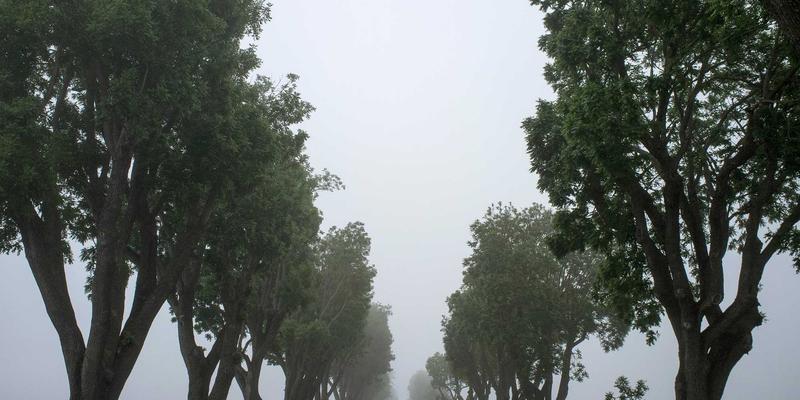 驾驭行业信息4.0时代：管理工具与市场分析的融合之道